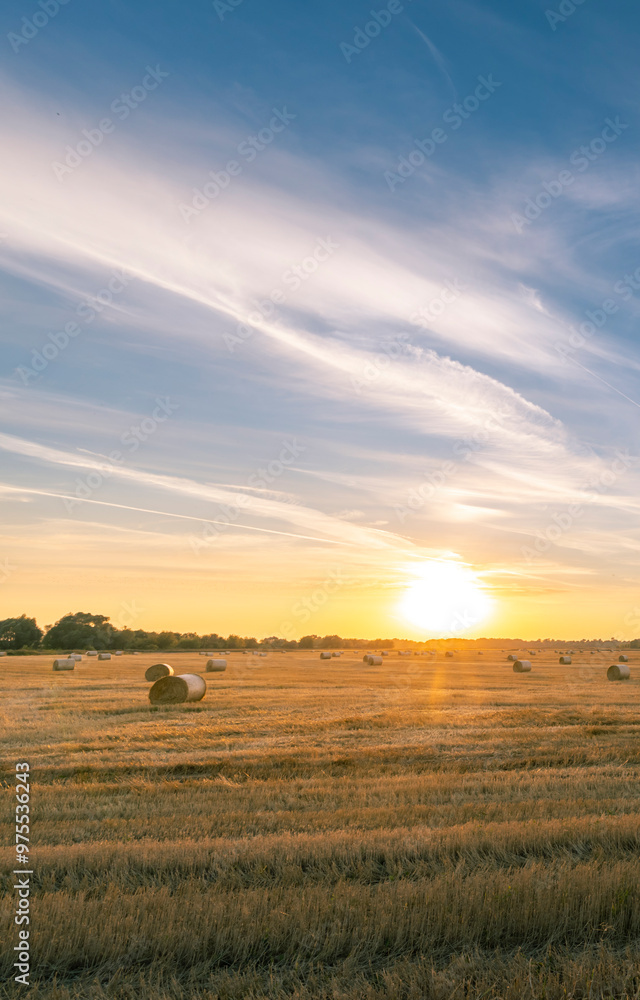 Obraz premium A field of hay with a sun in the sky
