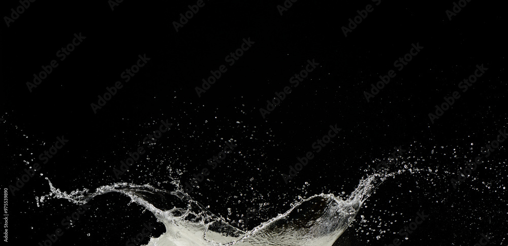 Obraz premium Splash o salpicaduras de agua sobre fondo negro