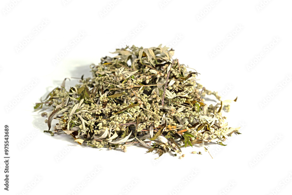 Getrockneter Beifuß vor weißem Hintergrund