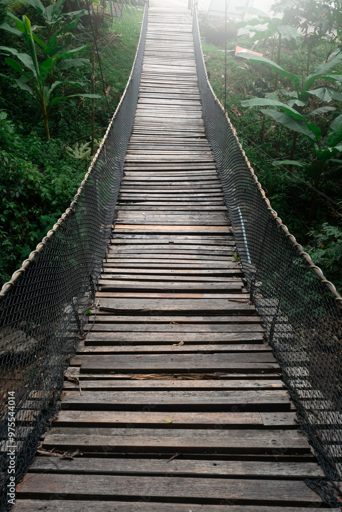 Suspension bridge in the evergreen forest for adventure trail in Chiang Mai. Suspension bridge in the evergreen forest for adventure trail in Chiang Mai.