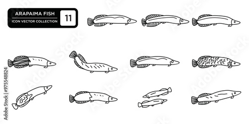 Arapaima fish icon collection, editable and resizable vector icon templates.