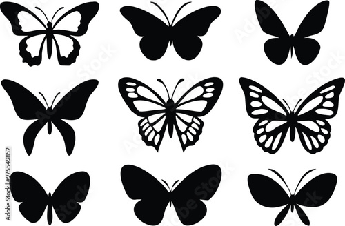 Different butterflies set. Vector illustration