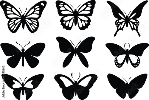 Different butterflies set. Vector illustration photo