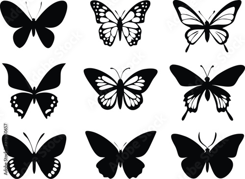 Different butterflies set. Vector illustration photo