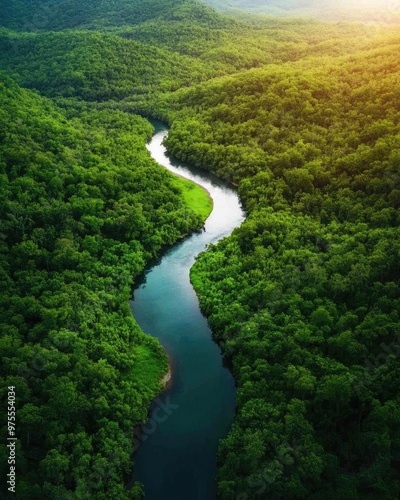 Aerial view of a winding river flowing through lush green forests, showcasing nature's beauty and tranquility.