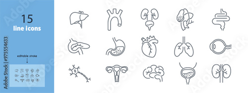 Internal organs line icons set. Liver, vessels, gallbladder, kidney, duodenum, pancreas, lungs, eye, uterus, heart, stomach, neuron vector illustration. Human anatomy. Editable Stroke