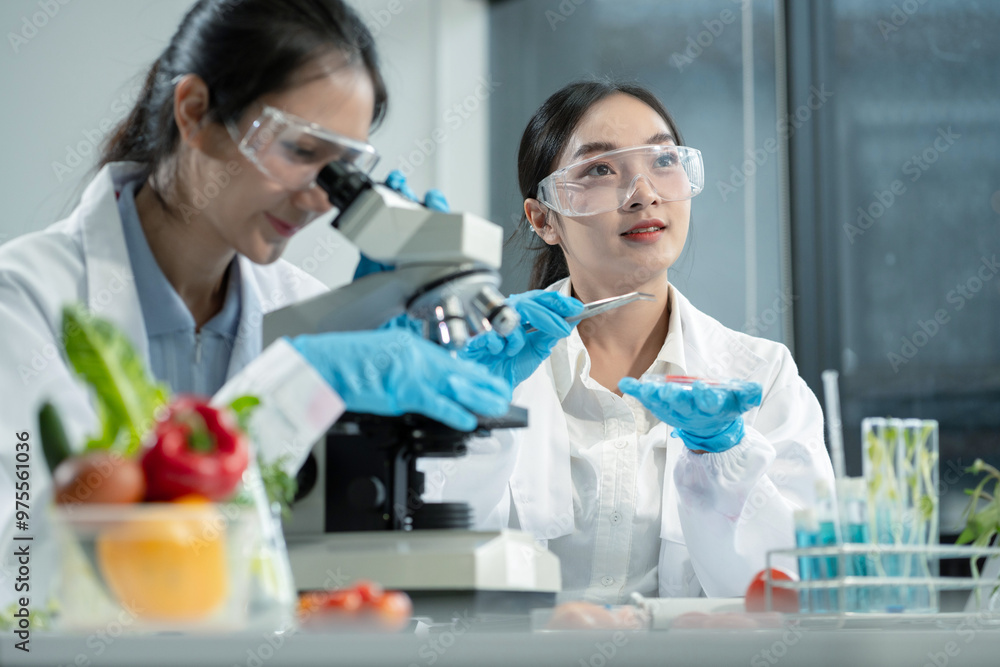 Team Microbiologists Analyzing Molecular Samples in Advanced Food Science Laboratory, Dietitian food and medicine. Team Microbiologists Analyzing Molecular Samples in Advanced Food Science Laboratory, Dietitian food and medicine.
