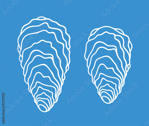 Oyster set. Isolated oyster  on blue  background