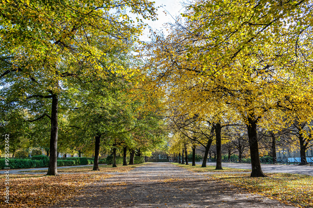 Naklejka premium Walking in Hofgarten Park in Munich on an autumn day, Germany
