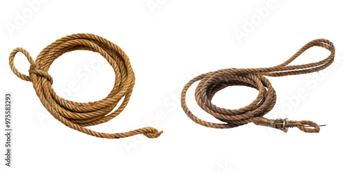 Western Cowboy Lasso Transparent Image photo