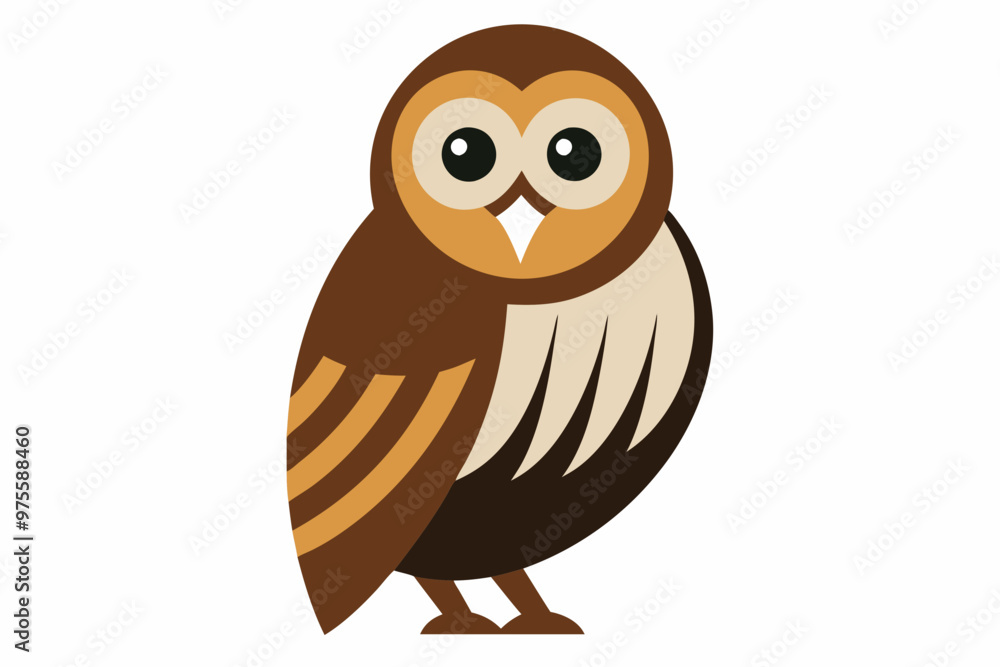 Obraz premium owl