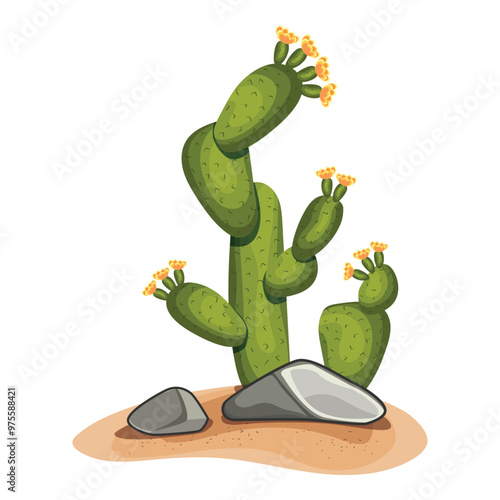 Cactus plants of desert among sand and rocks stock on white background.