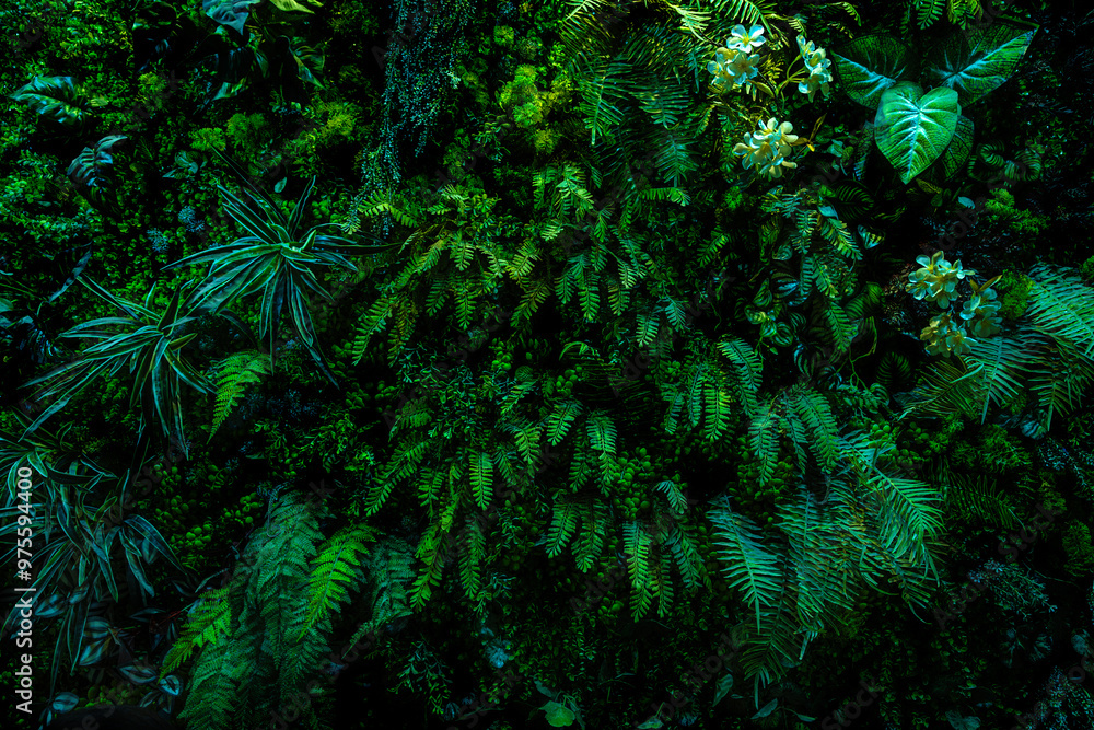 Herb wall, plant wall, natural green wallpaper and background. nature wall. Nature background of green forest Herb wall, plant wall, natural green wallpaper and background. nature wall. Nature background of green forest