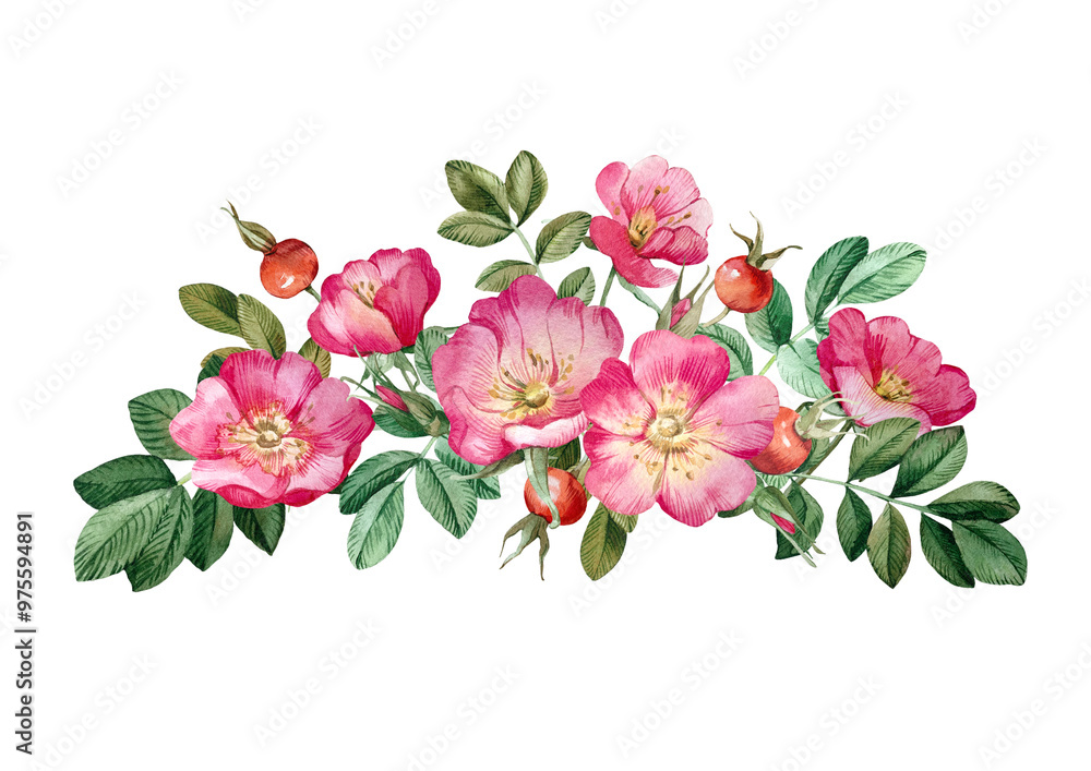 Rose hips bouquet isolated on white background. Hand drawn watercolor pink wild rose flowers, buds, berries and leaves. For tea, oil and cosmetics label, packaging design Rose hips bouquet isolated on white background. Hand drawn watercolor pink wild rose flowers, buds, berries and leaves. For tea, oil and cosmetics label, packaging design