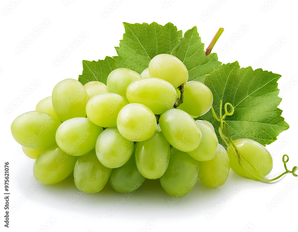Green grapes with leaves, isolated on a white background, with full depth of field for _1(511) Green grapes with leaves, isolated on a white background, with full depth of field for _1(511)