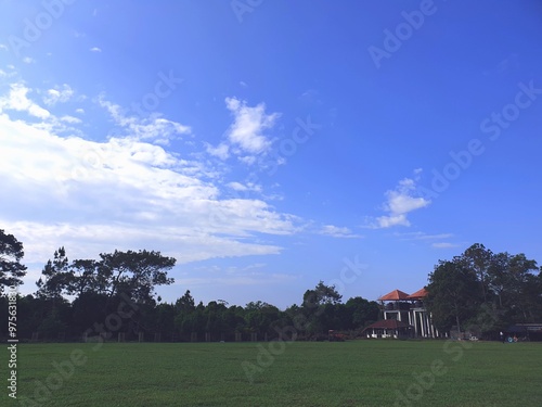 landscape with trees and clouds