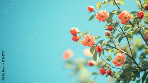 Blooming Flowers on a Sunny Day