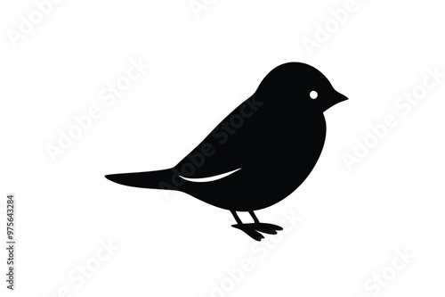 Cute Magpie Bird  vector art and illustration photo