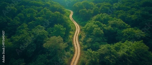 An aerial path across a stunning wooded environment