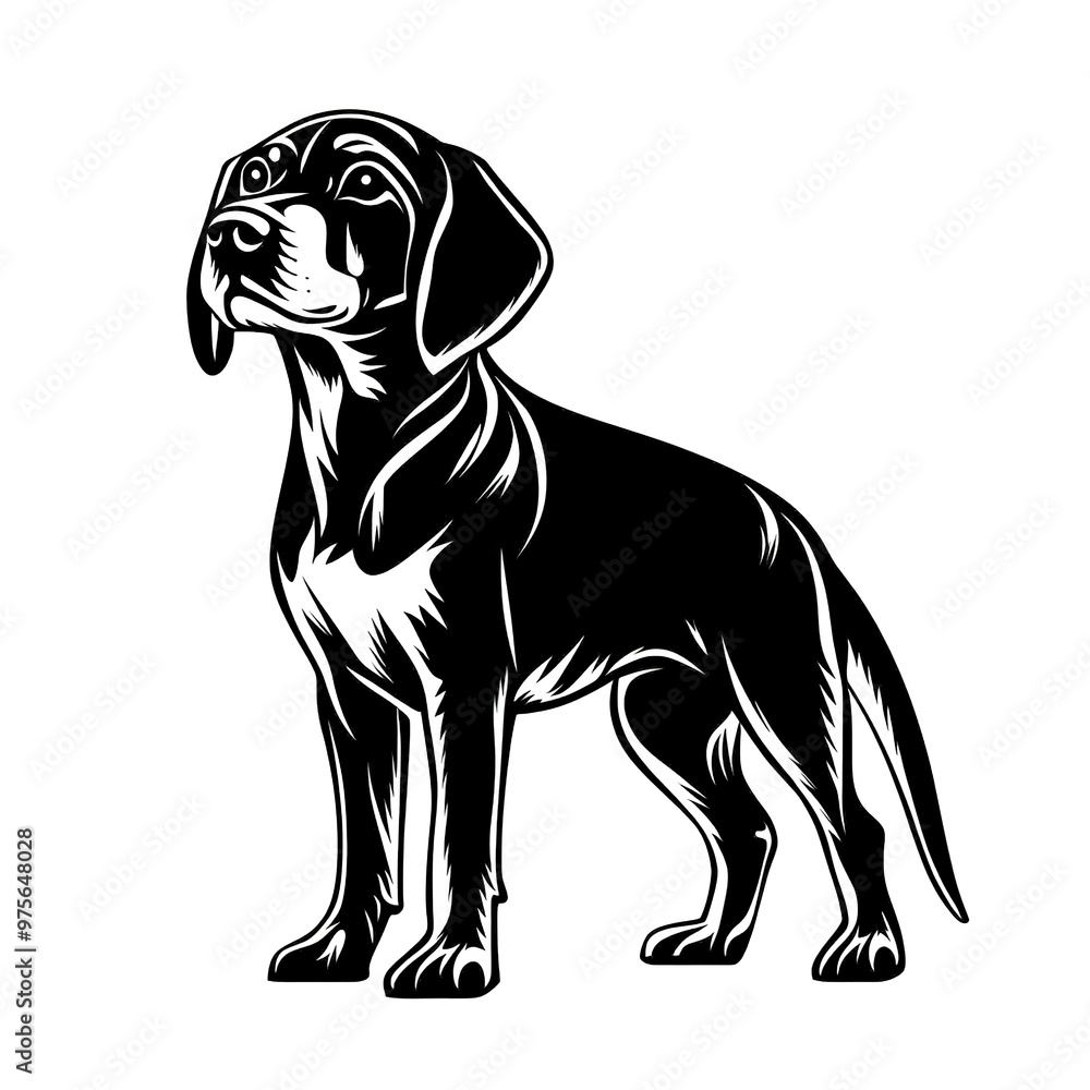 Fototapeta premium Beagle silhouette, black color silhouette on white background