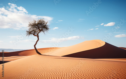 Crystal-Clear Nature Background: High-Resolution Wallpaper for a Serene and Stunning View