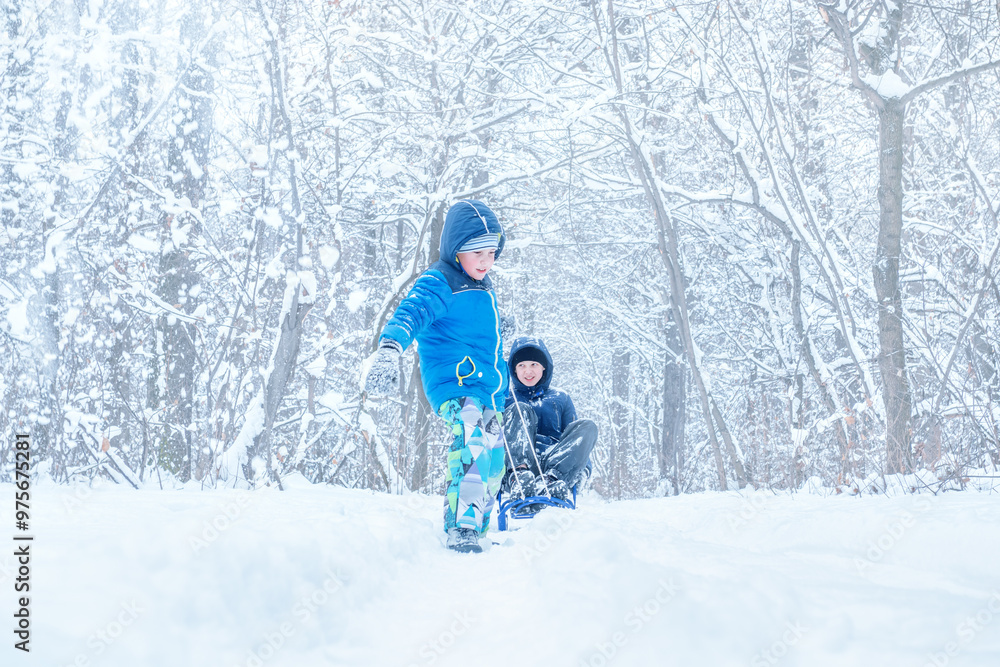 Family Winter Fun: Joyful Parents and Child Sledding Together in Snowy Forest Landscape Family Winter Fun: Joyful Parents and Child Sledding Together in Snowy Forest Landscape