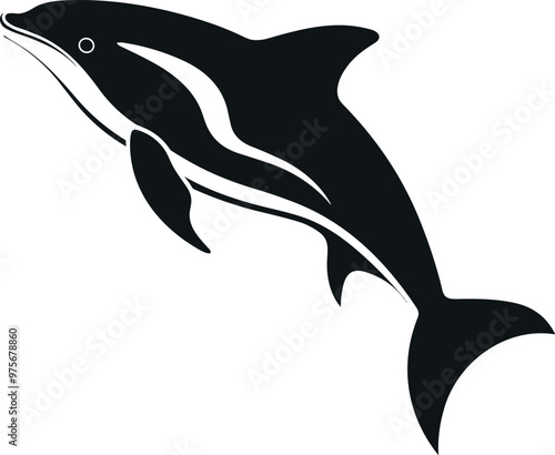 Dolphin Silhouette, Dolphin Vector Illustration Art.