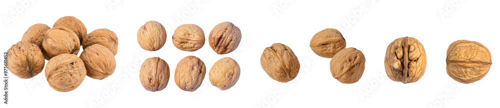 A collection of whole walnuts arranged on a white background, showcasing their natural textures. A collection of whole walnuts arranged on a white background, showcasing their natural textures.