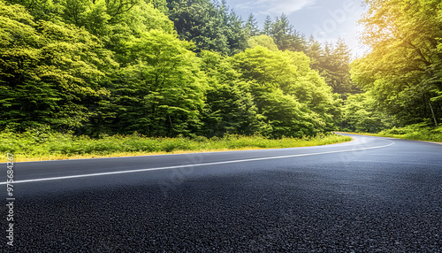Asphalt road side view with forest.