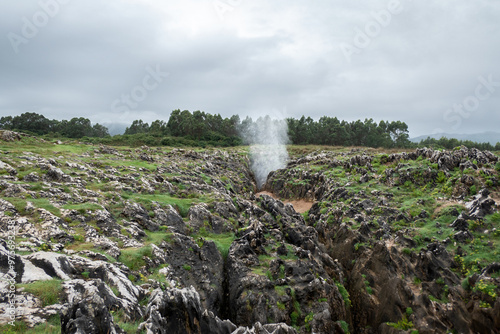 A força da natureza com os Bufones de Arenillas em Ação em Espanha photo