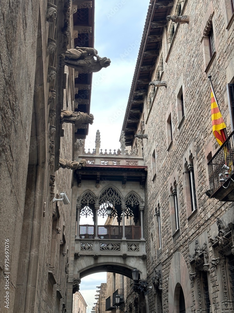 Fototapeta premium city old town hall