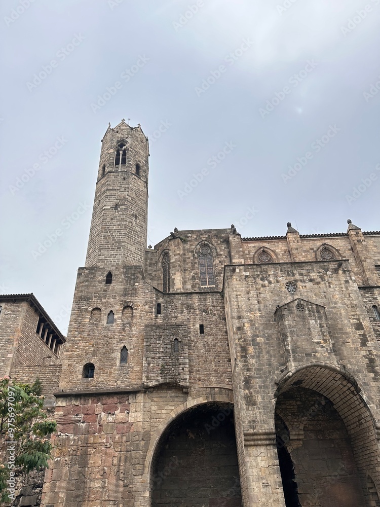 Obraz premium tower of the castle