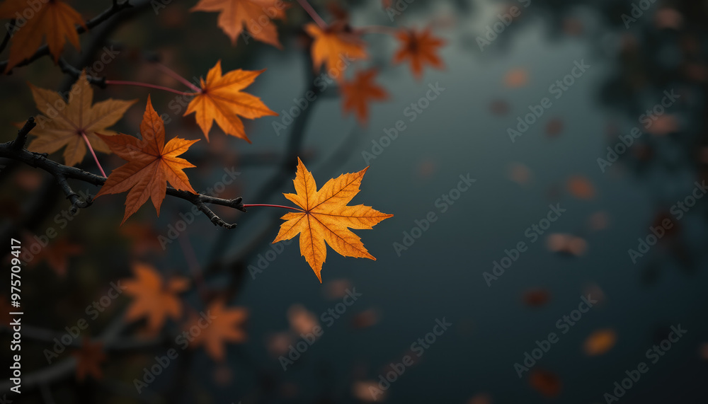 Autumn Leaves Falling On Water, Tranquil Fall Scene Autumn Leaves Falling On Water, Tranquil Fall Scene