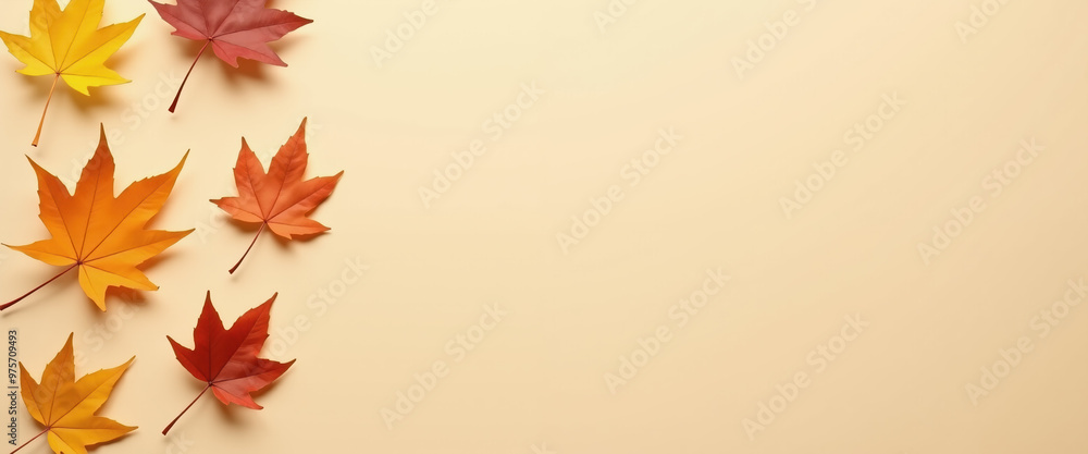 Autumn Leaves Background - Fall Foliage with Copy Space, Perfect for Greeting Cards or Social Media Autumn Leaves Background - Fall Foliage with Copy Space, Perfect for Greeting Cards or Social Media