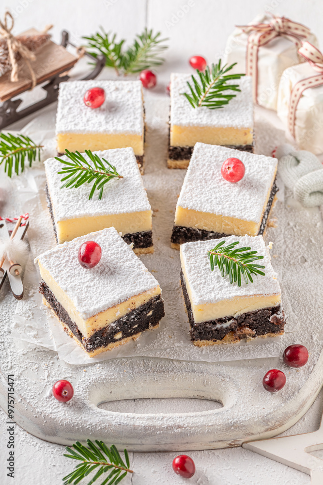 Tasty Poppy seed cheesecake for Christmas with icing sugar. Tasty Poppy seed cheesecake for Christmas with icing sugar.