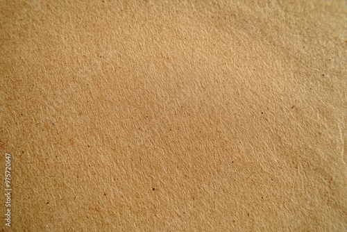 Brown Paper Texture Background. photo