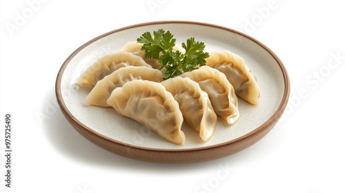 Deliciously steamed dumplings served on a simple plate with fresh cilantro garnish