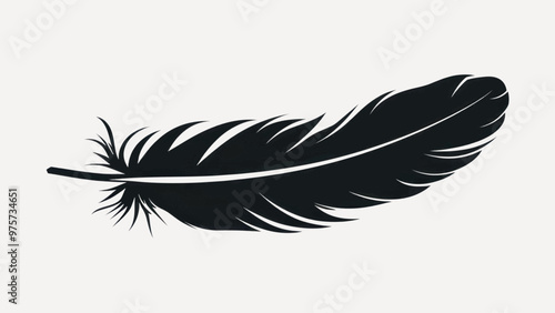 Elegant black feather silhouette