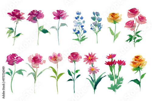 Canvas Print Watercolor paintings set flower in loosing and vivid style