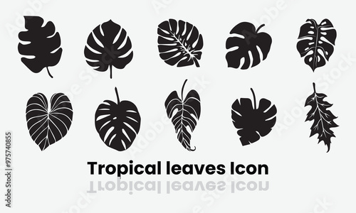 Tropical leaves monstera and palm tree icon set