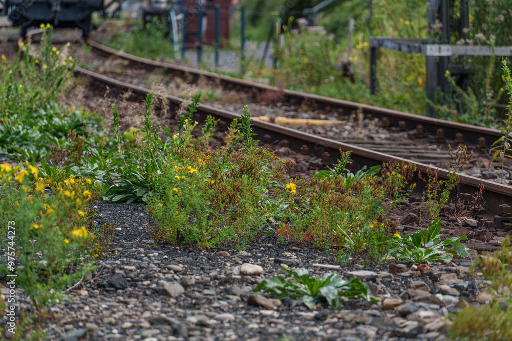 historische eisenbahn im Ruhrgebiet historische eisenbahn im Ruhrgebiet