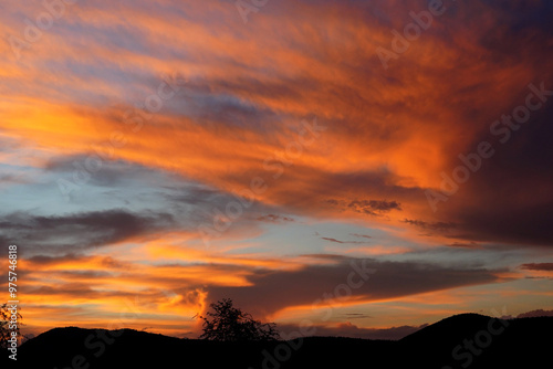 A breathtaking sunset over the bushveld, with vibrant crimson and orange clouds painting the sky, capturing the majestic beauty of the African wilderness