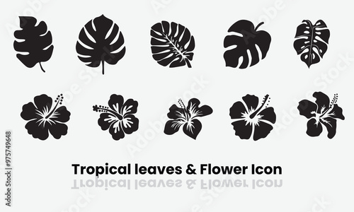 Tropical leaves monstera and palm tree icon set