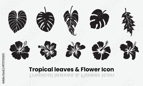 Monstera and palm tree Tropical leaves  icon set