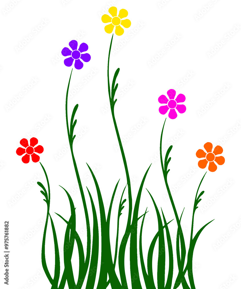 flowers flowers