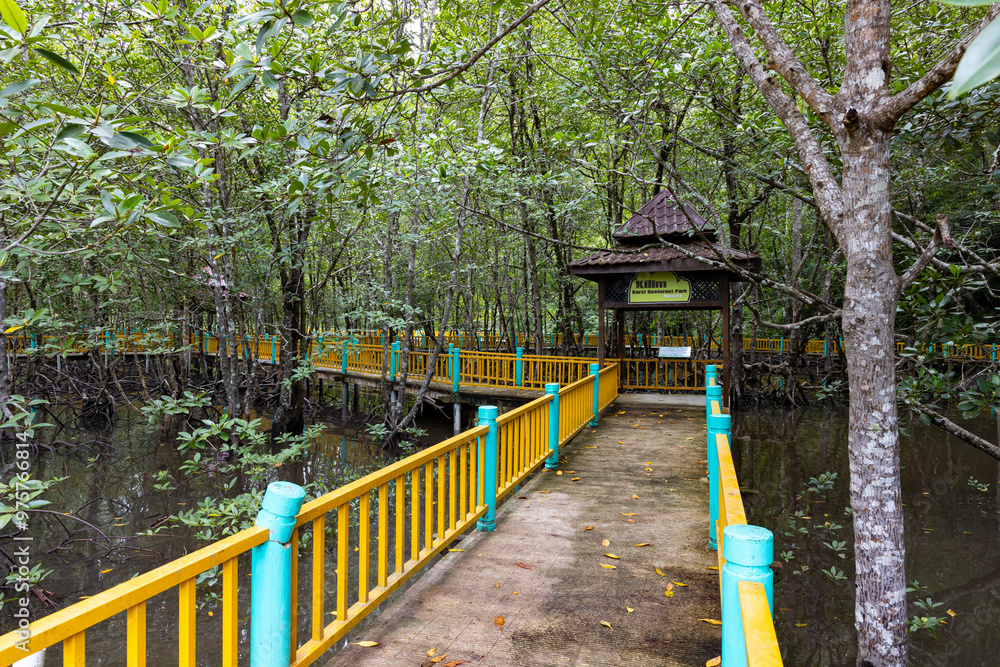 Kilim Geoforest Park on Langkawi Island, Malaysia. Rainforest park and tourist attraction.