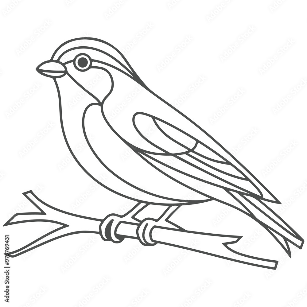 Obraz premium a beautiful bird outline vectors 