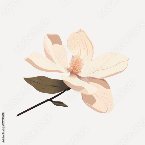 Elegant floral illustration art