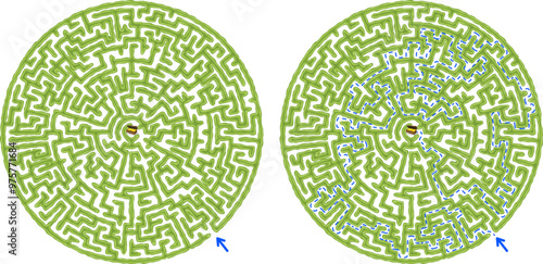 Try to find chest with golden coins inside green hedge maze vector Illustration. Top view of the open air round labyrinth made of garden bushes and grass. Medium or advanced difficulty level