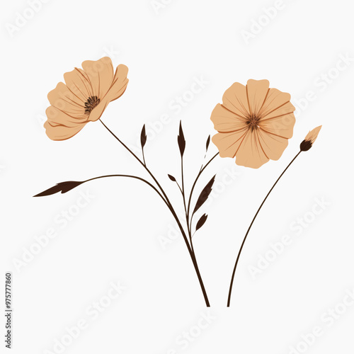 Minimalist botanical floral illustration